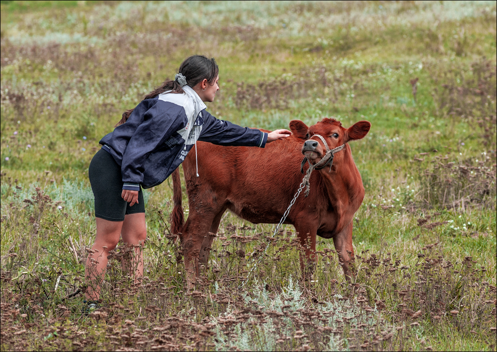 Tvipova Nostalgie 20050820107
