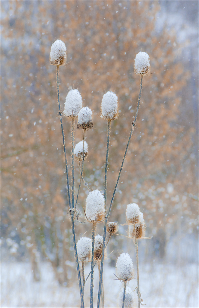 Tipova Poslezavtra 20060611001