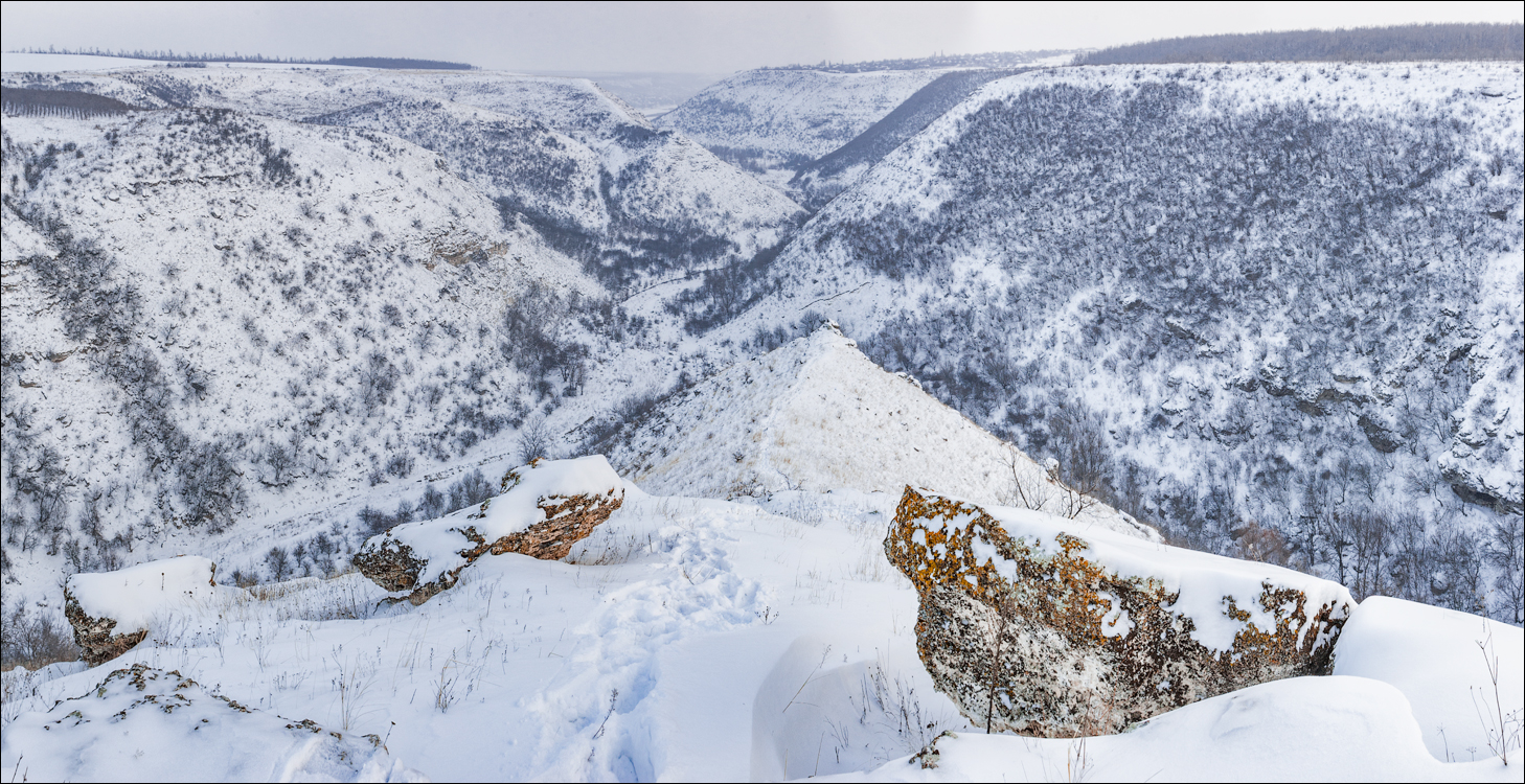 Tipova Poslezavtra 20060611029