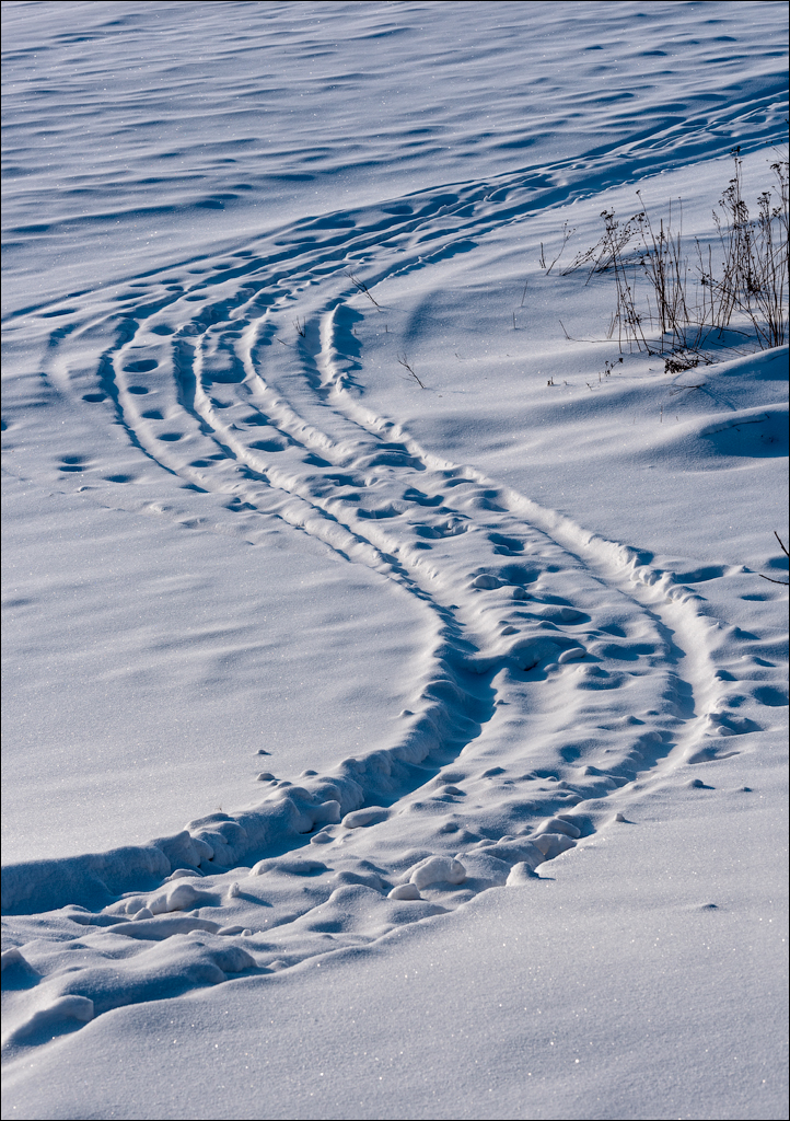 Tipova Mar 20180310002