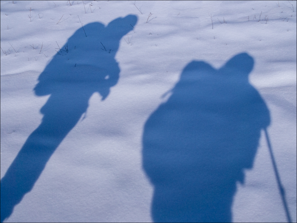 Tipova Mar 20180310018