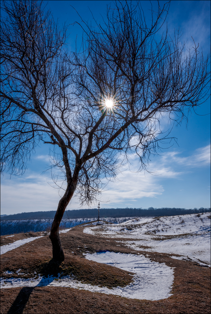 Tipova 20210218 19 136