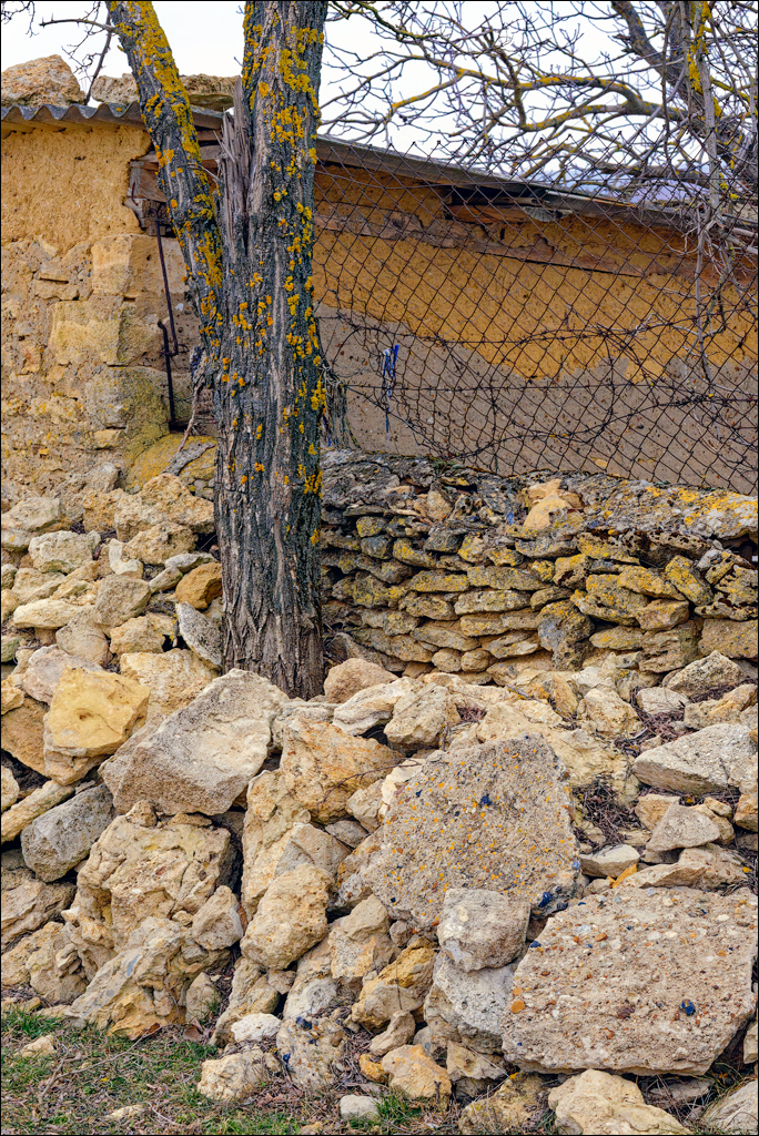 Tipova 22 23feb2025 106