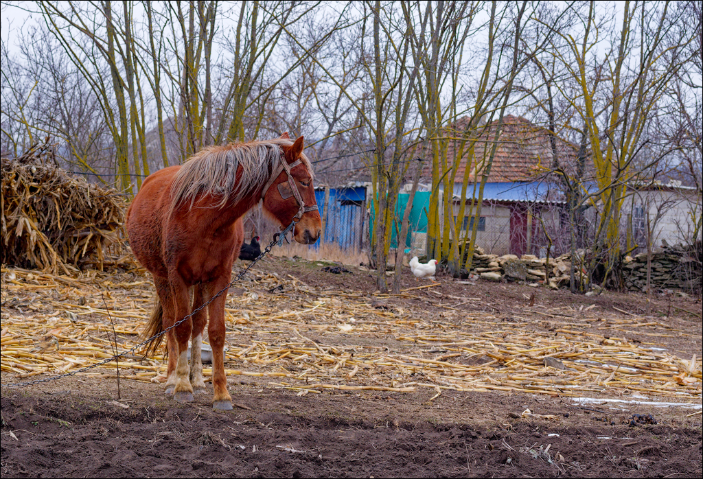 Tipova 22 23feb2025 107