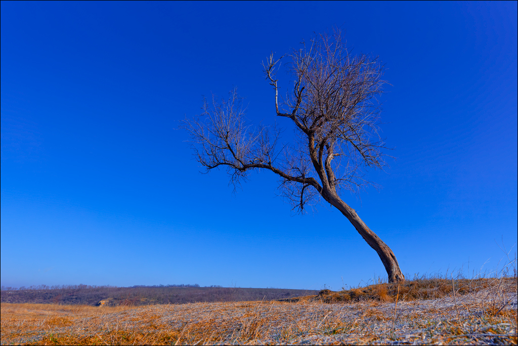 Tipova 22 23feb2025 163