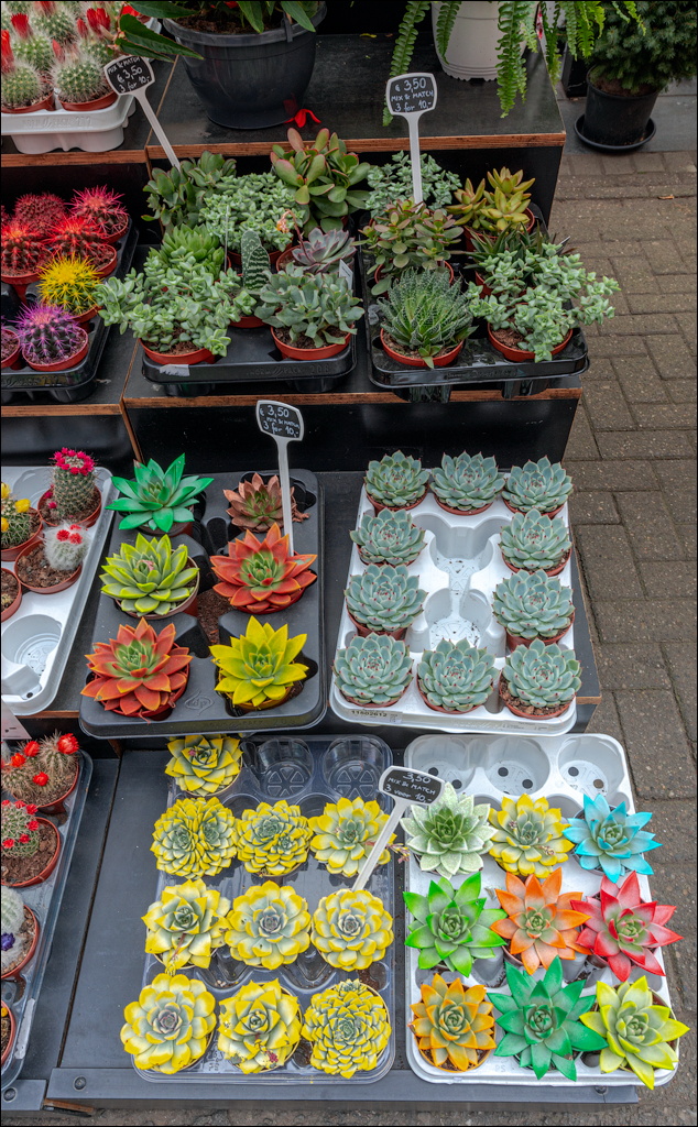 Amsterdam 20220428155