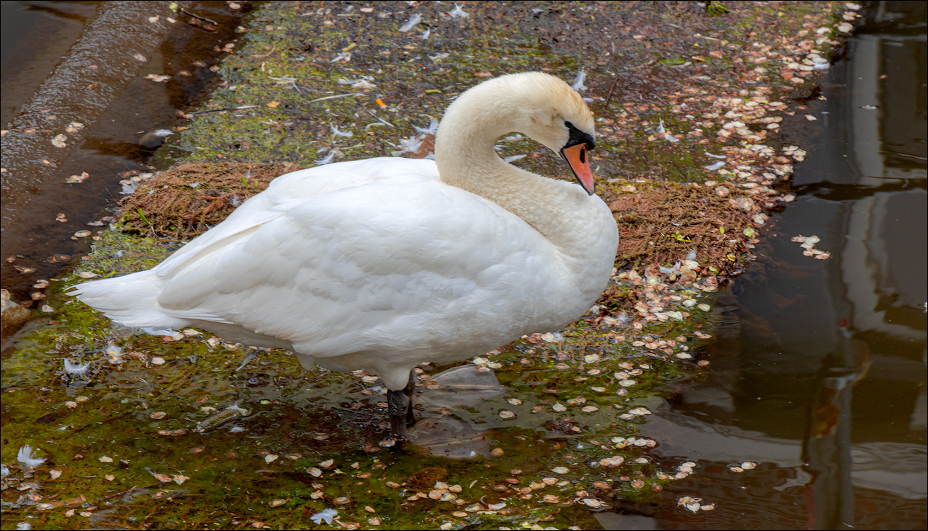 Amsterdam 20220428174
