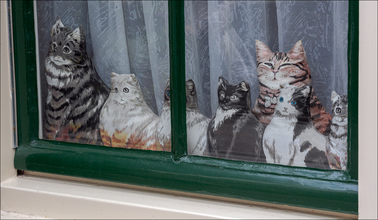 Amsterdam 20220428176