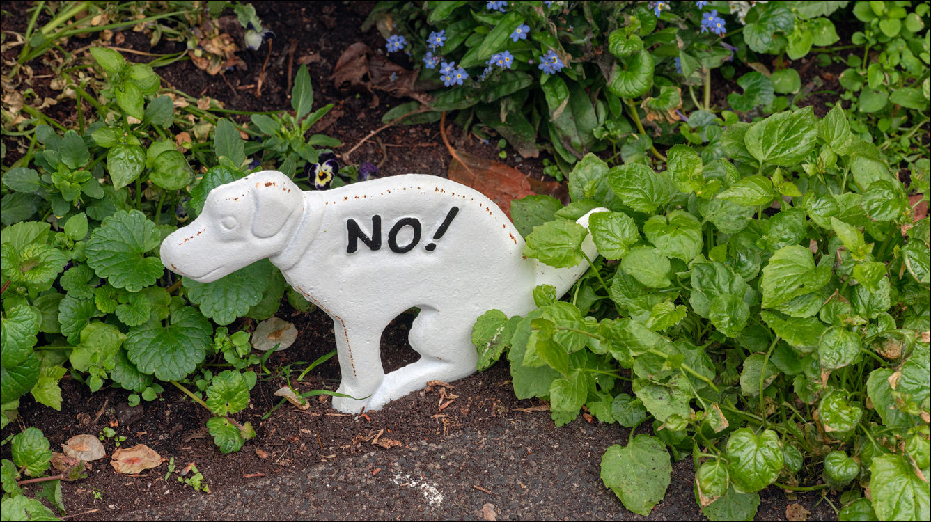 Amsterdam 20220428181