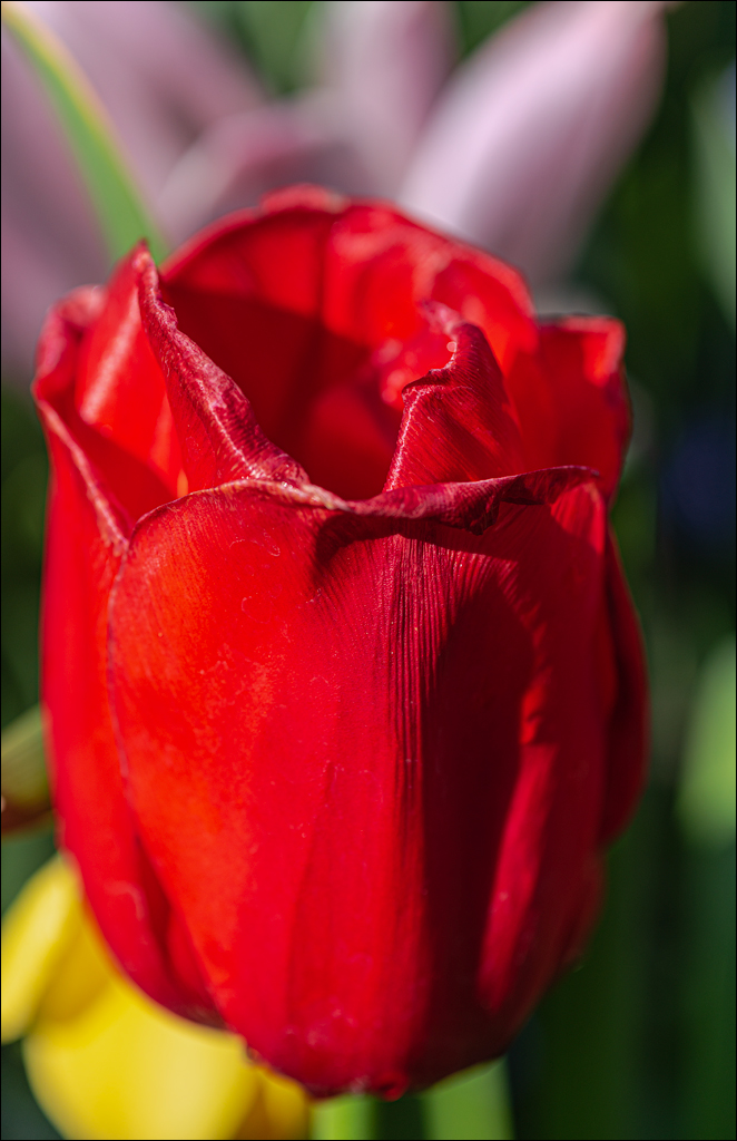 Amsterdam 202204261107