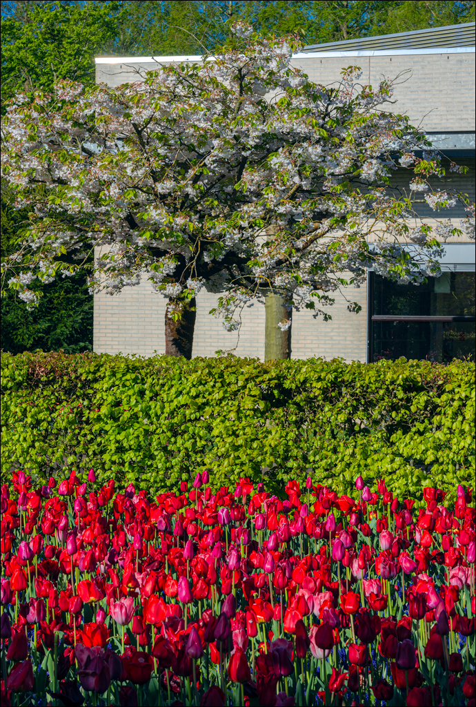 Amsterdam 202204261109