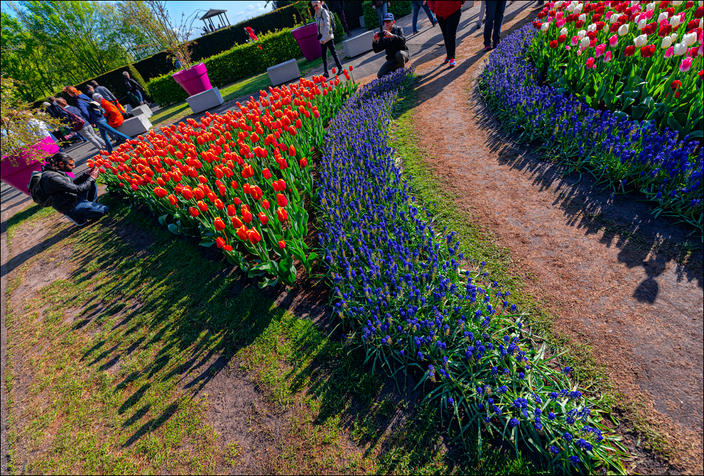 Amsterdam 202204261122