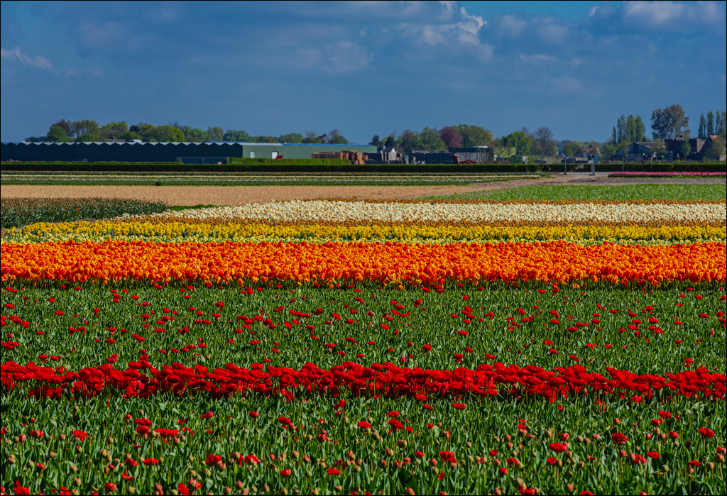 Amsterdam 202204261140