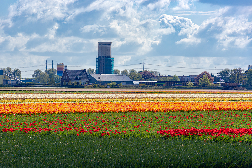 Amsterdam 202204261146