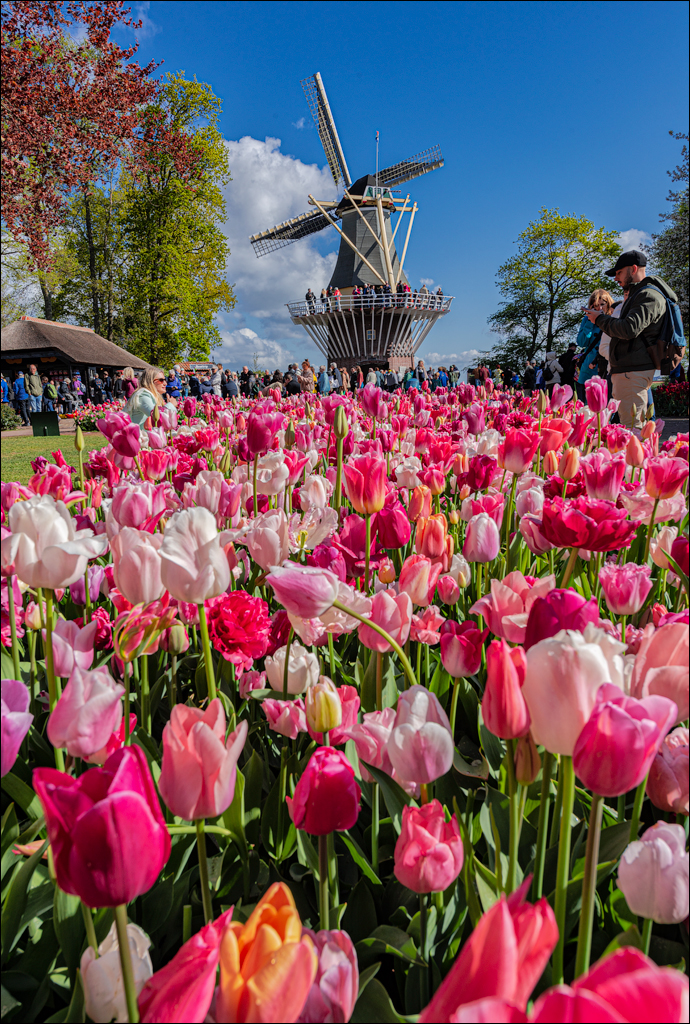 Amsterdam 202204261151