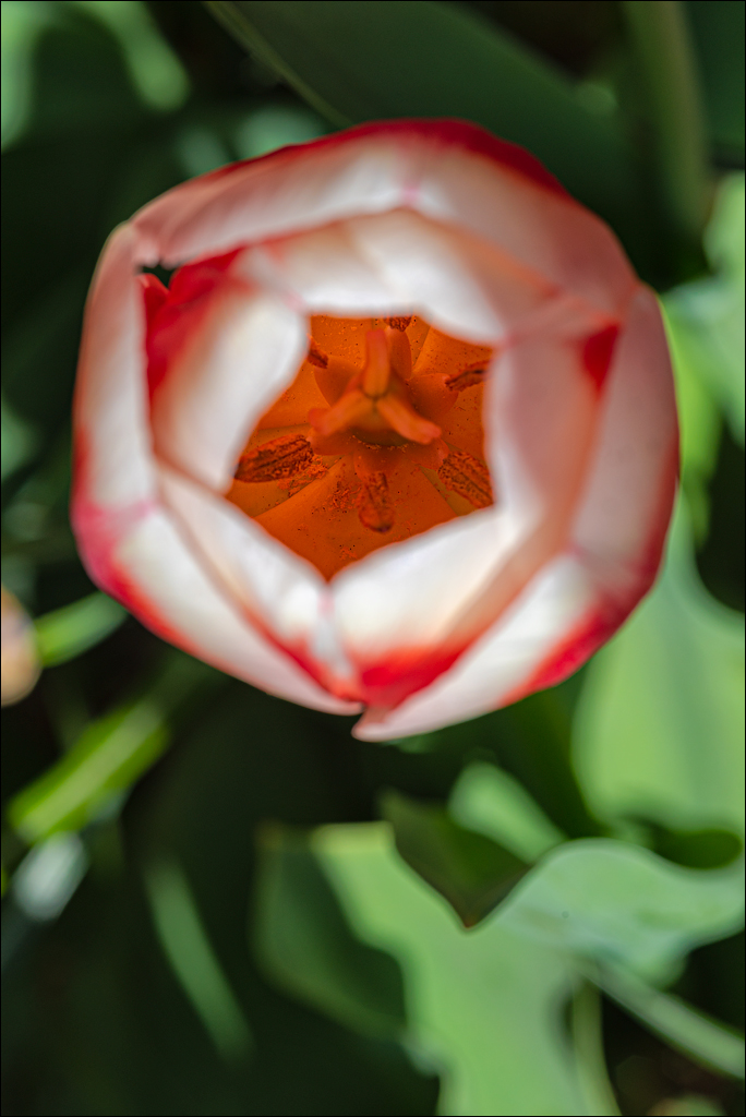 Amsterdam 202204261155