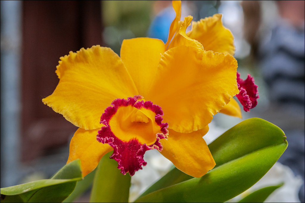 Amsterdam 202204261158