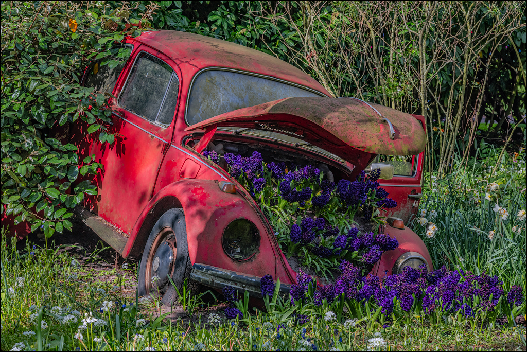 Amsterdam 202204261160