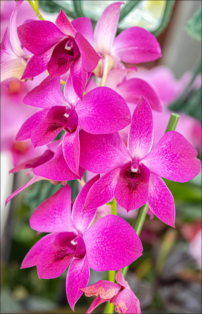 Amsterdam 202204261179