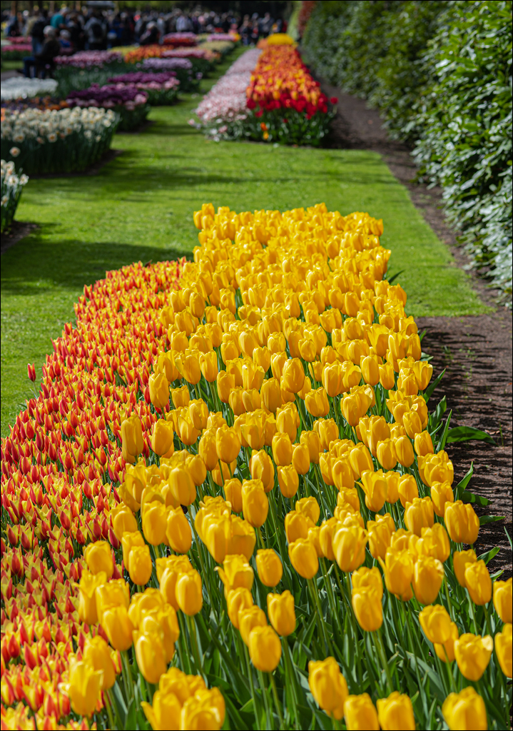 Amsterdam 202204261189