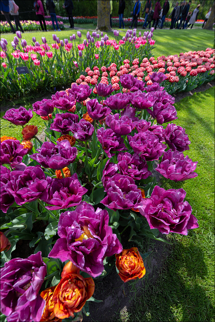 Amsterdam 202204261191