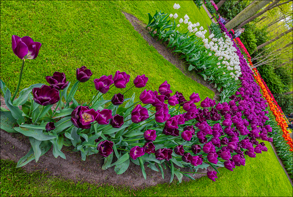 Amsterdam 202204262110