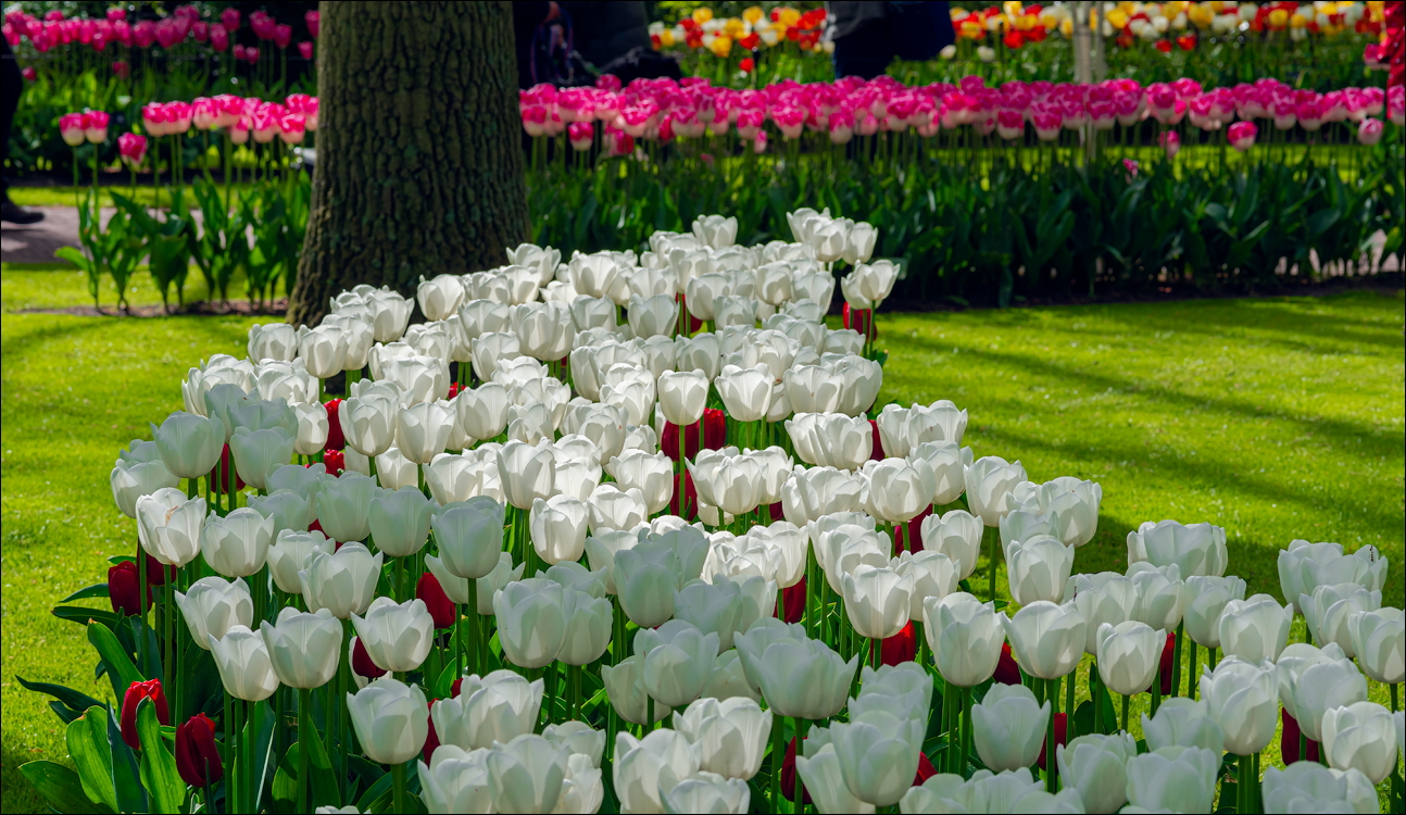 Amsterdam 202204262114