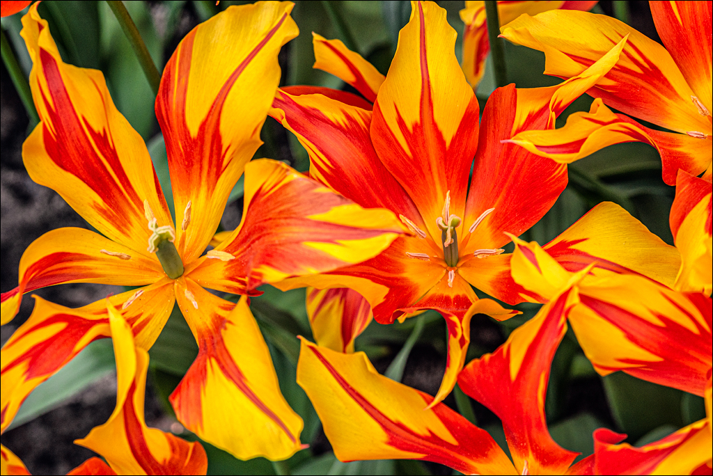 Amsterdam 202204262126