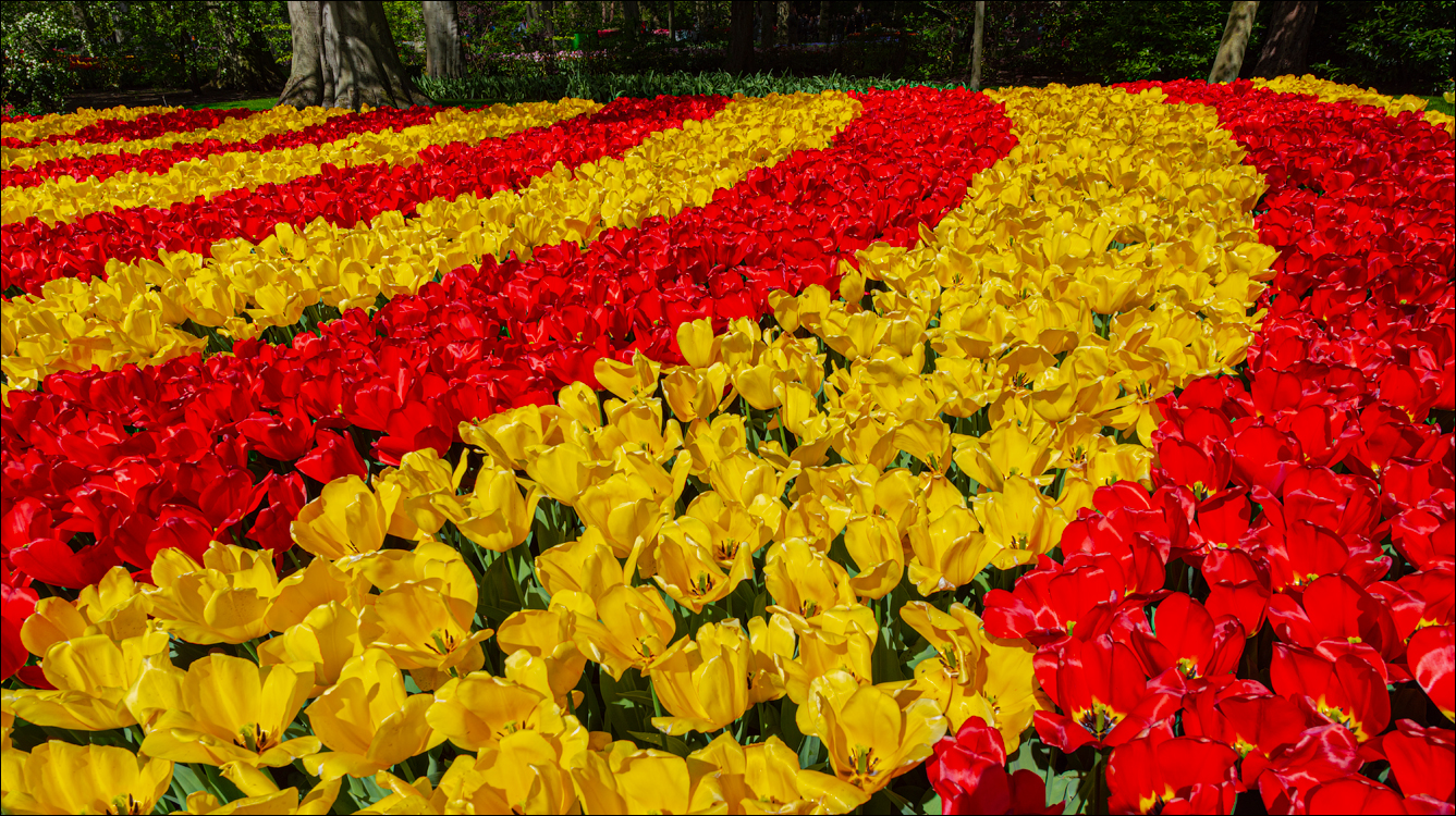 Amsterdam 202204262130