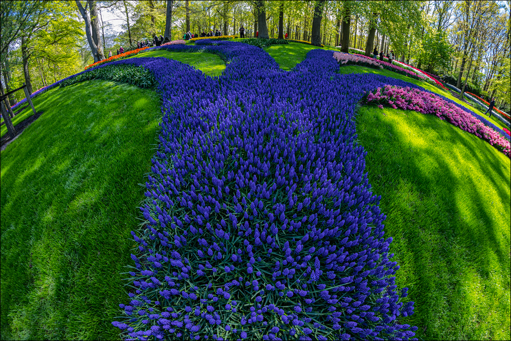 Amsterdam 202204262145