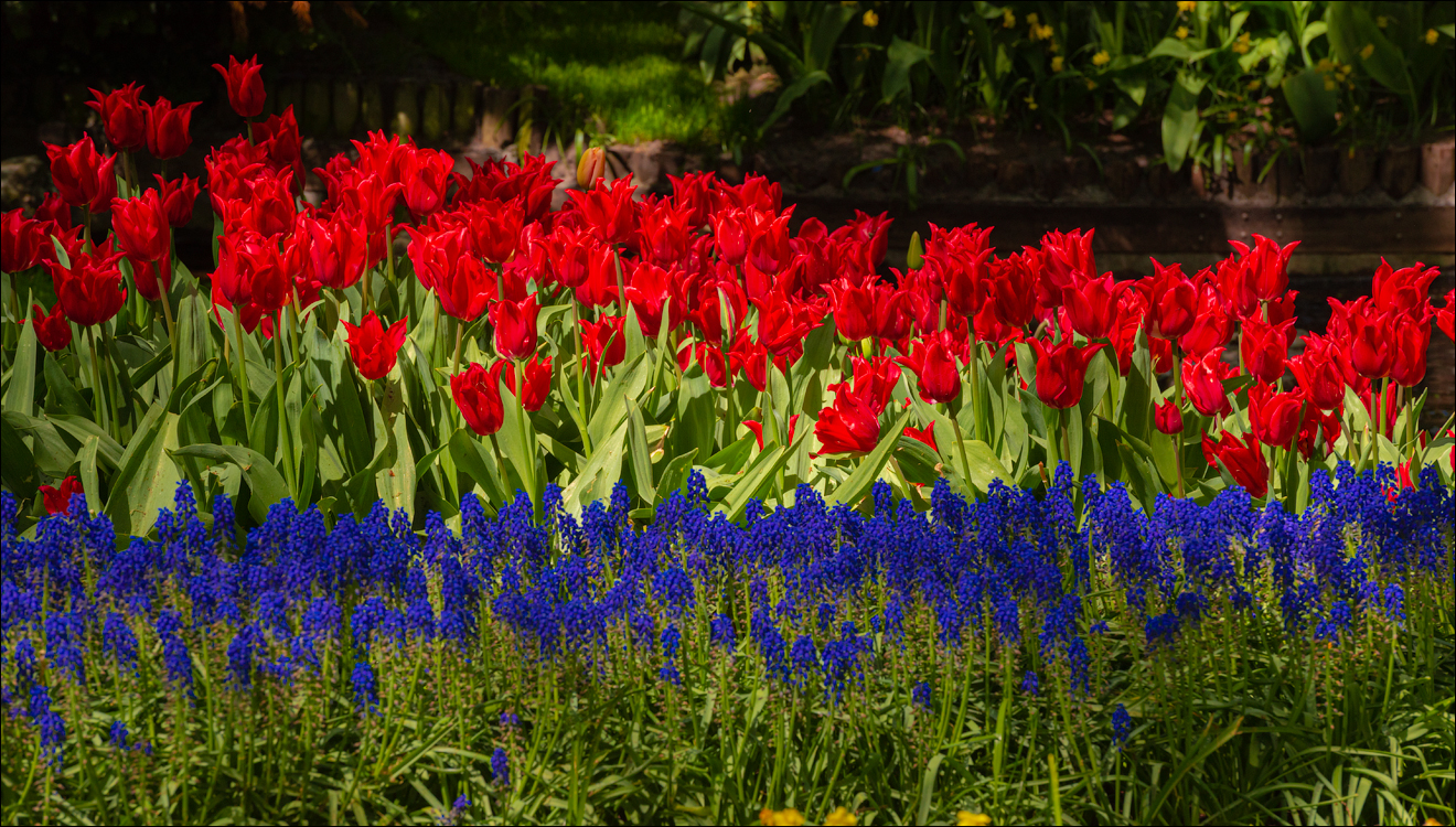 Amsterdam 202204262157