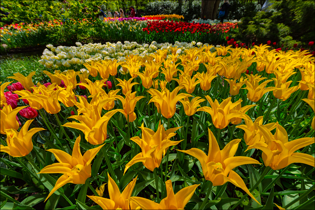 Amsterdam 202204262158