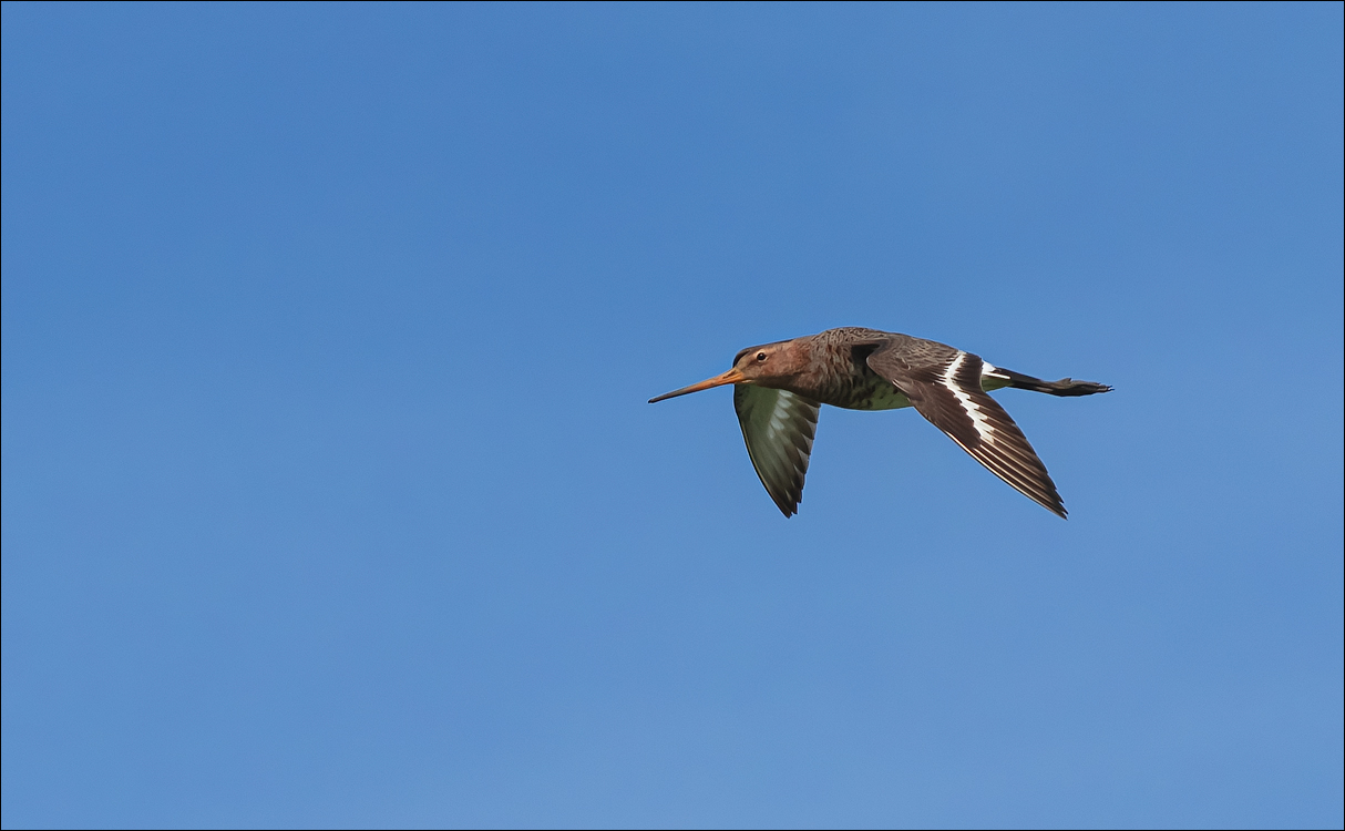 Amsterdam 20220501 112