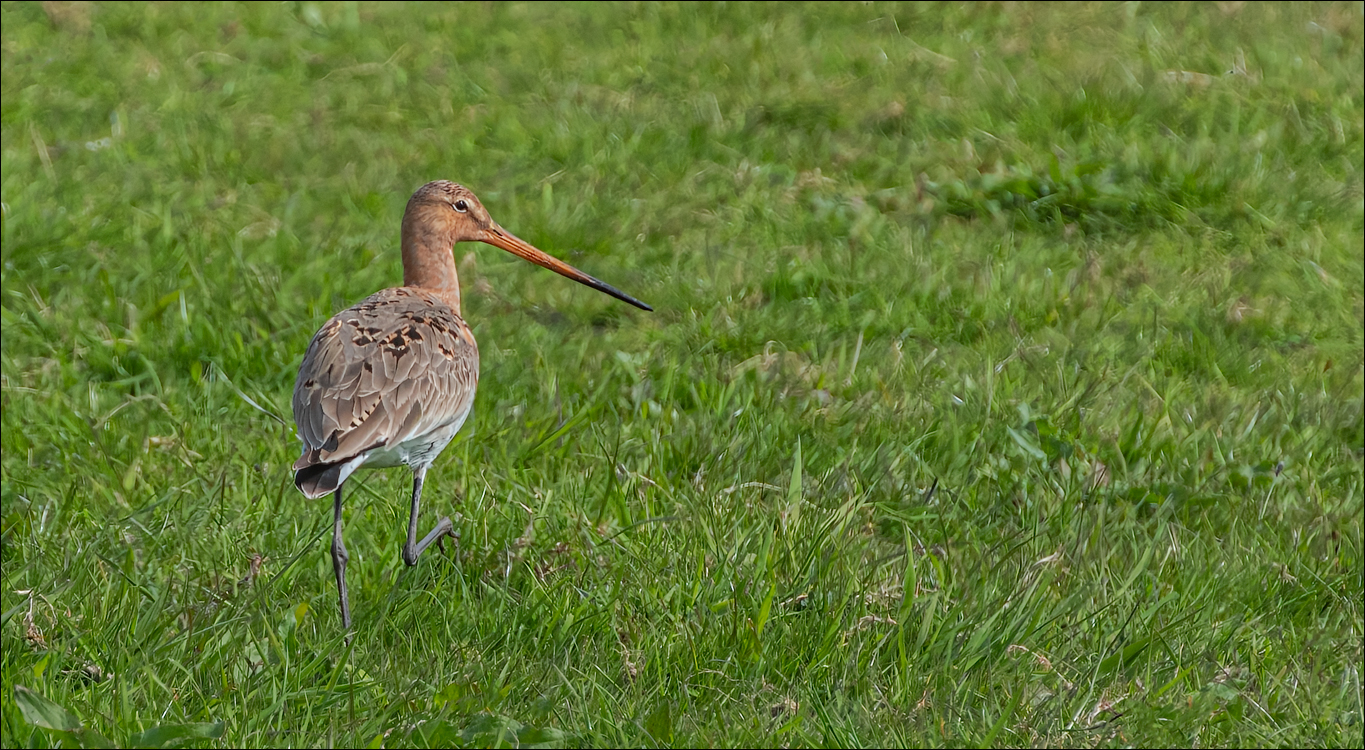 Amsterdam 20220501 115