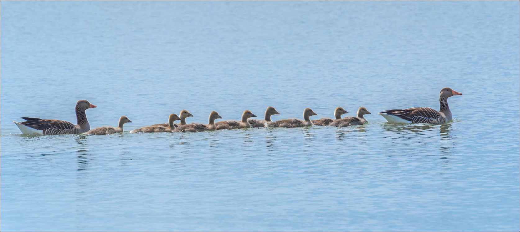Amsterdam 20220501 119