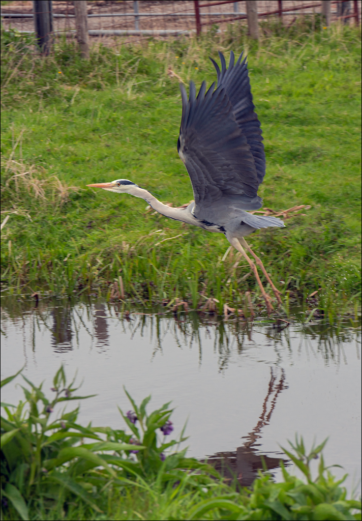 Amsterdam 20220427123