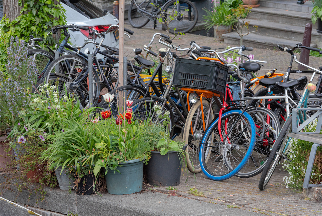 Amsterdam 20220427208