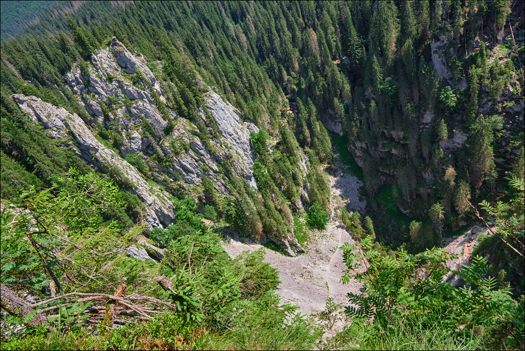 Apuseni 21 23jul2023 135