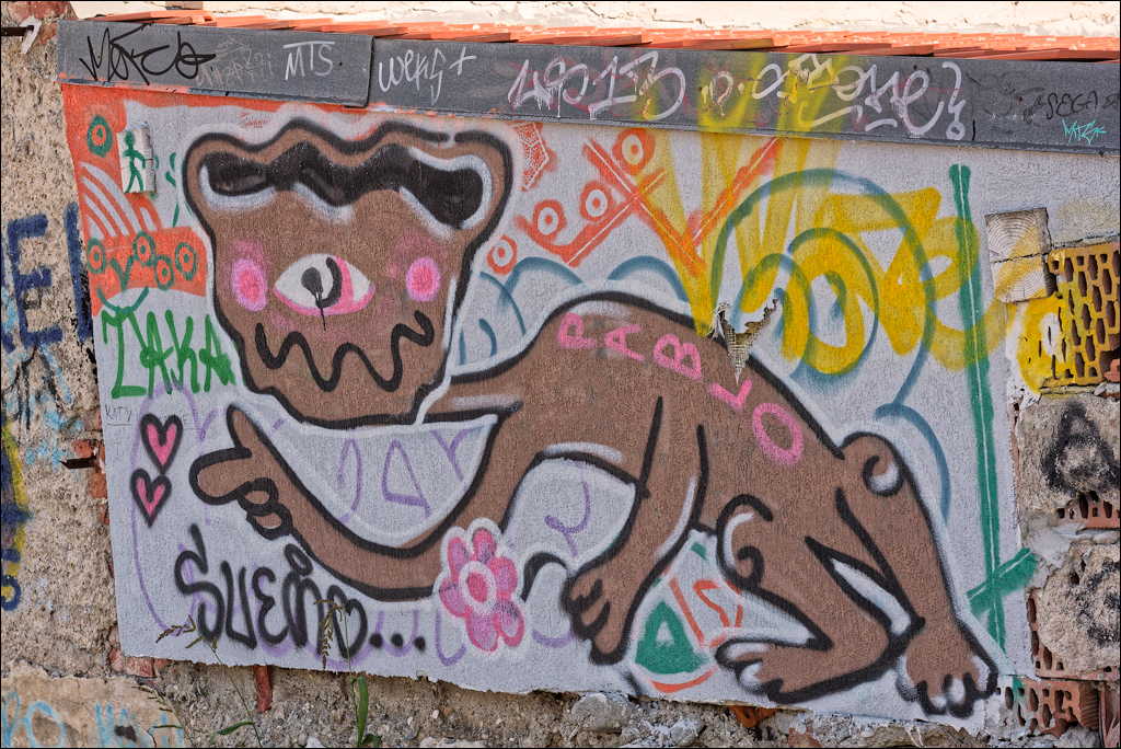 Brasov TimisuDeJos PoianaBrasov 11 16aug2024 130