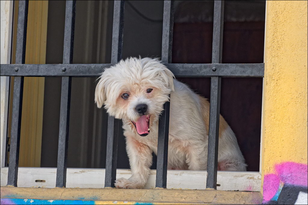 Brasov TimisuDeJos PoianaBrasov 11 16aug2024 162