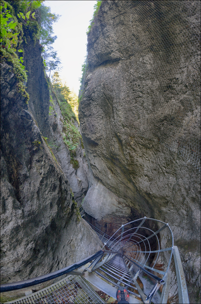 Brasov TimisuDeJos PoianaBrasov 11 16aug2024 227