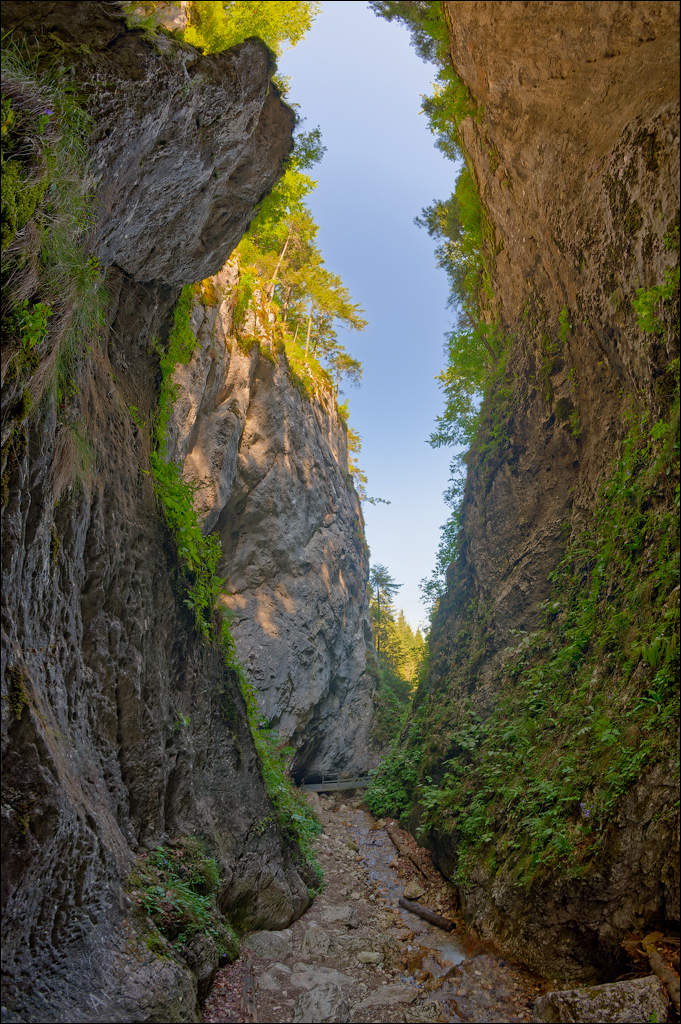 Brasov TimisuDeJos PoianaBrasov 11 16aug2024 230