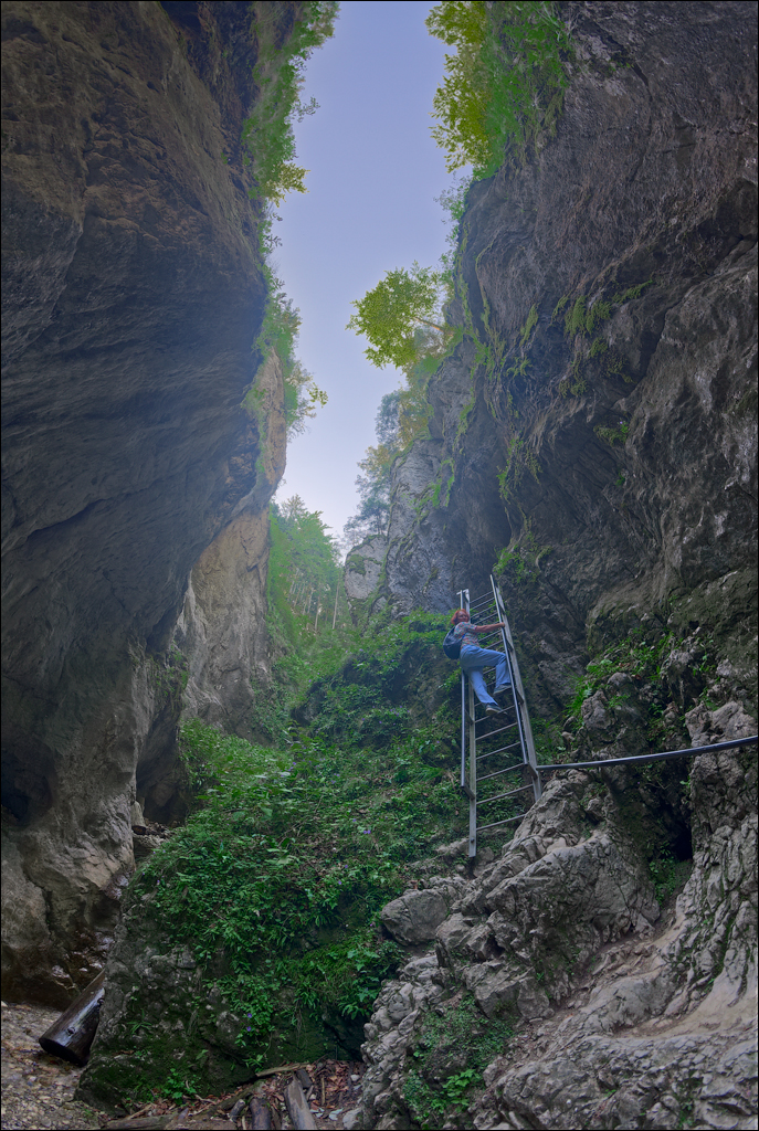 Brasov TimisuDeJos PoianaBrasov 11 16aug2024 236