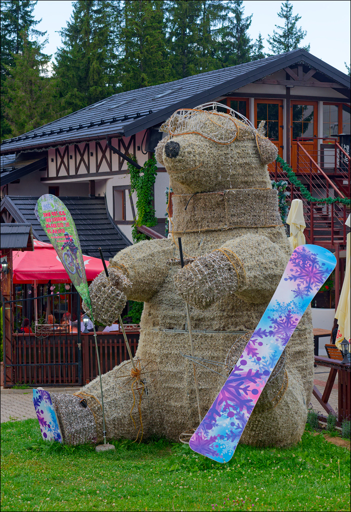 Brasov TimisuDeJos PoianaBrasov 11 16aug2024 283