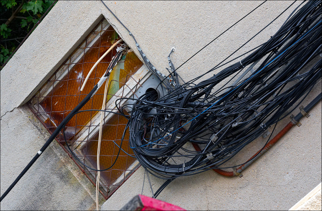 Brasov TimisuDeJos PoianaBrasov 11 16aug2024 310