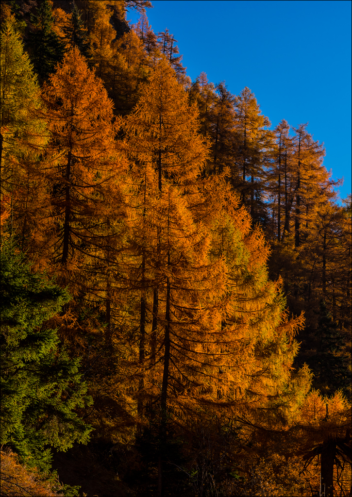 Bucegi Omu 20170912005