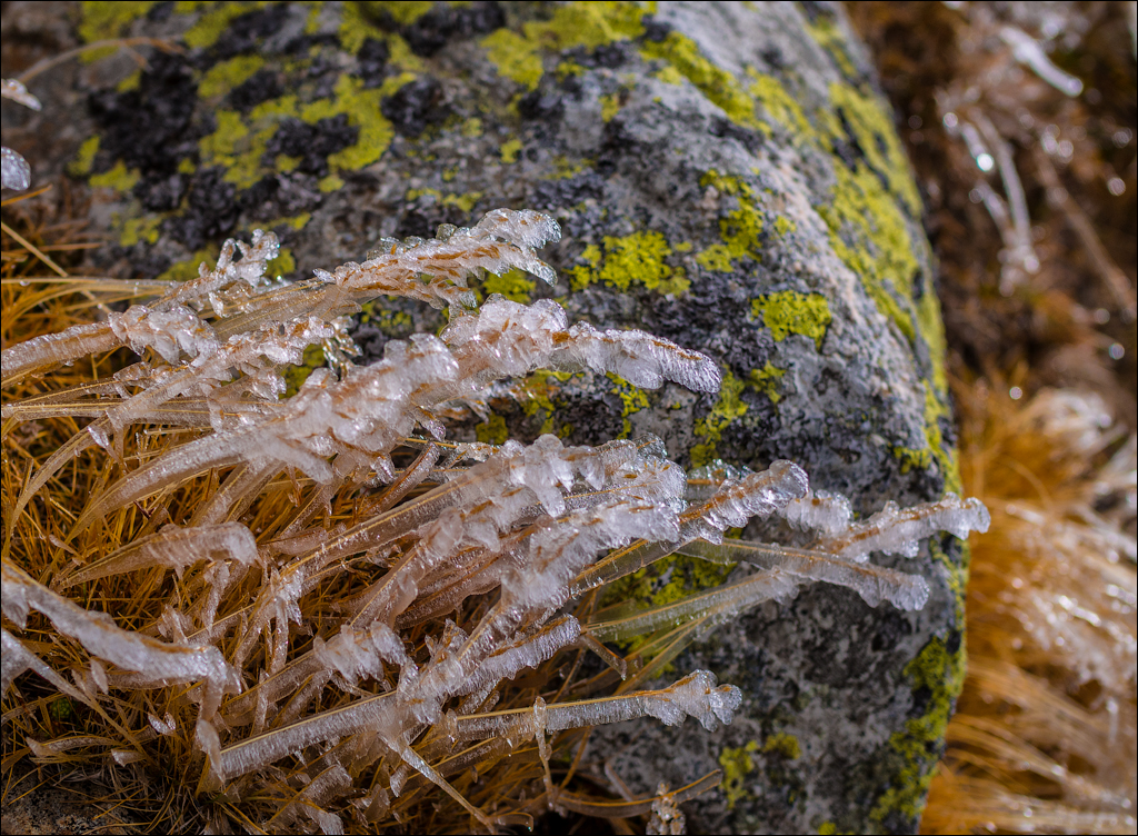 Bucegi Omu 20170912083