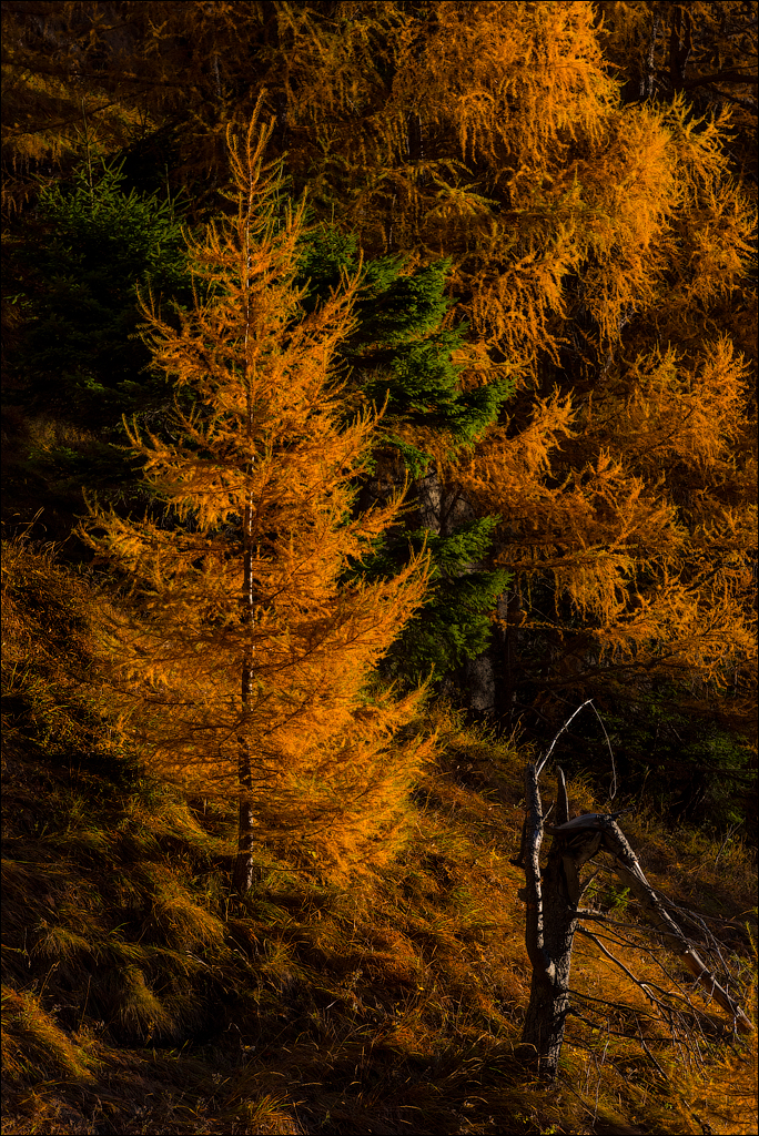 Bucegi Omu 20170912092
