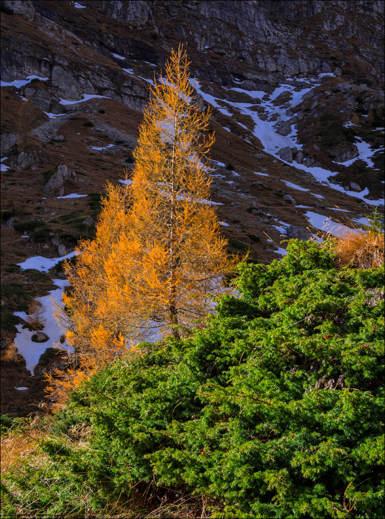 Bucegi Omu 20170912094