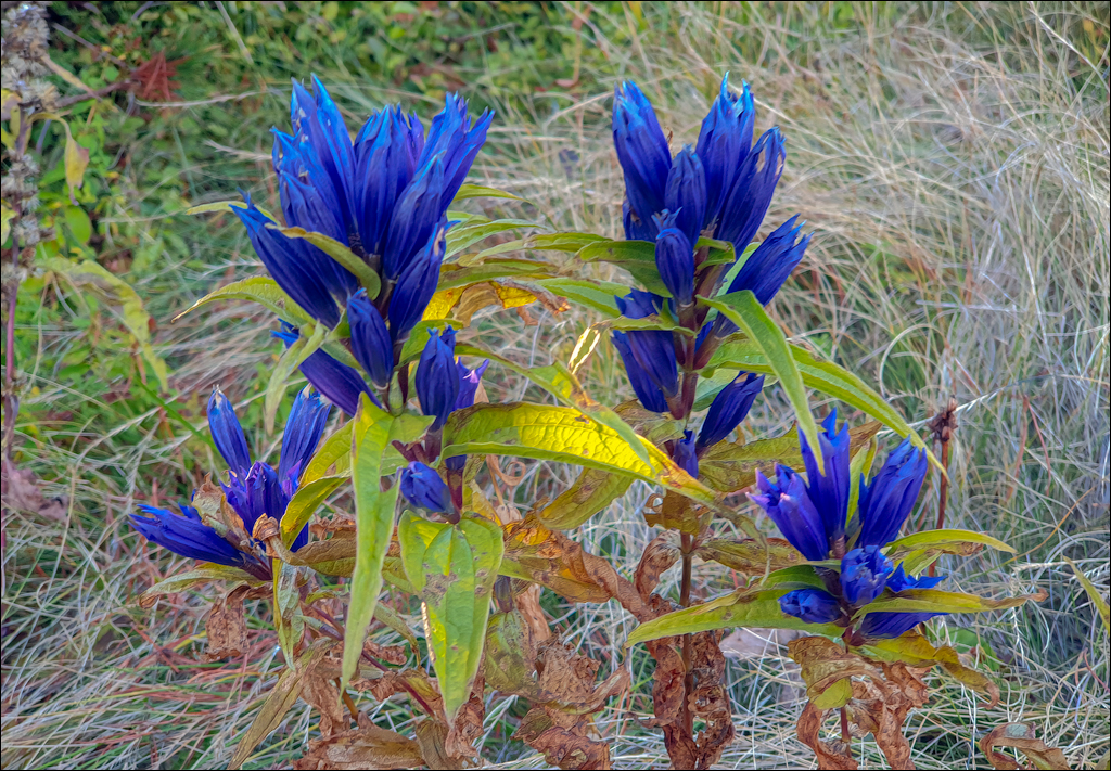 Durau Ceahlau 01 02oct2021 207